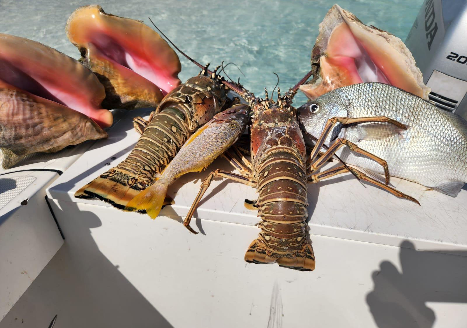Fresh conch and seafood for the Tropical Taste tour, Turks and Caicos