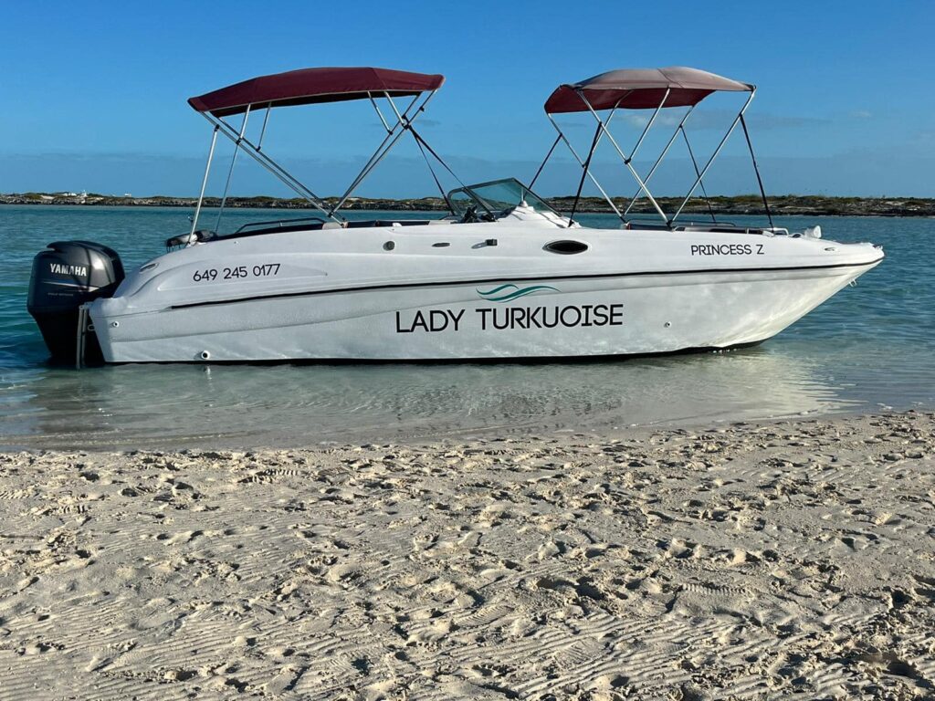 lady turkuoise